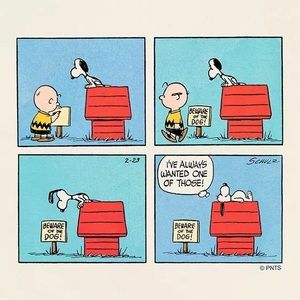 Meet your Posher, Lindsey